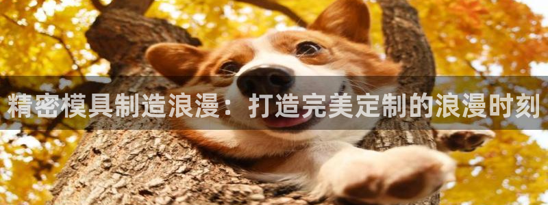 天天彩神welcome：精密模具制造浪漫：打造完美定制的浪漫时刻