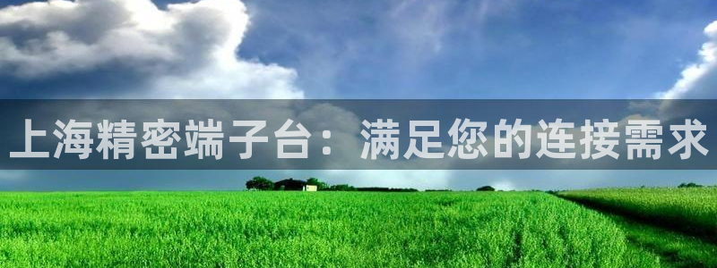 彩神旗下有哪些平台：上海精密端子台：满足您的连接需求