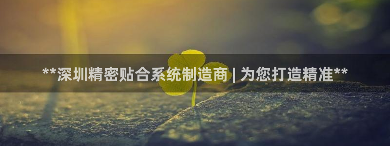 彩神争霸官方下载：**深圳精密贴合系统制造商 | 为您打造精准**