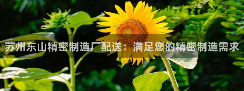 彩神v1破解器：苏州东山精密制造厂配送：满足您的精密制造需求