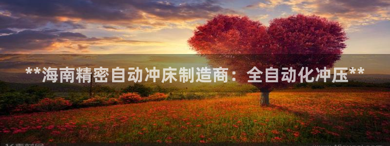 下载彩神通关注码：**海南精密自动冲床制造商：全自动化冲压**