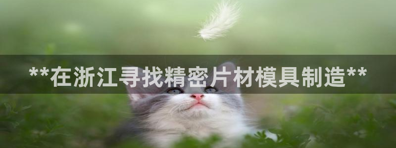 彩神网可以赚钱是真的吗：**在浙江寻找精密片材模具制造**