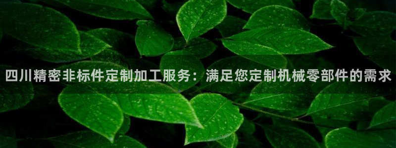 彩神vl购彩大厅：四川精密非标件定制加工服务：满足您定制机械零部件的需求