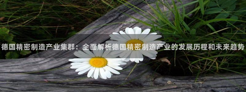 彩神平台：德国精密制造产业集群：全面解析德国精密制造产业的发展历程和未来趋势