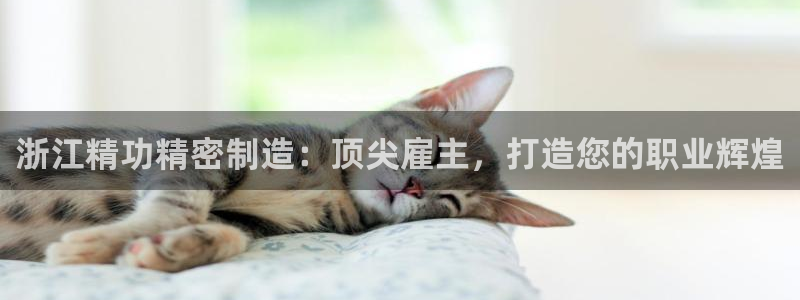 彩神vlll官方网：浙江精功精密制造：顶尖雇主，打造您的职业辉煌