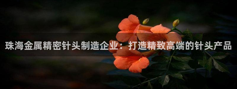 彩神8是正规平台吗：珠海金属精密针头制造企业：打造精致高端的针头产品