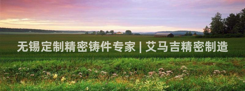 彩神ix平台：无锡定制精密铸件专家 | 艾马吉精密制造