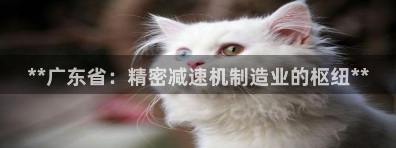 所有彩神购买首页中心：**广东省：精密减速机制造业的枢纽**
