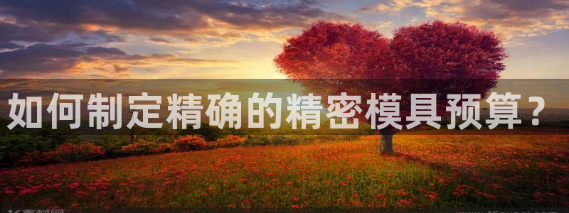 彩神大发云：如何制定精确的精密模具预算？