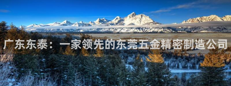 彩神v8平台正规吗知乎：广东东泰：一家领先的东莞五金精密制造公司