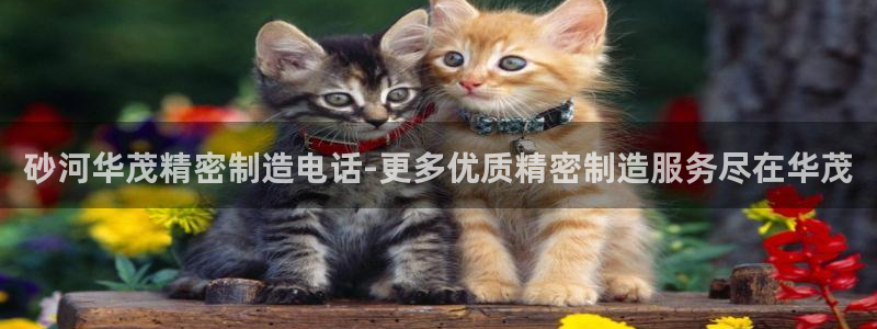 彩神购彩-购彩大厅入口老版：砂河华茂精密制造电话-更多优质精密制造服务尽在华茂