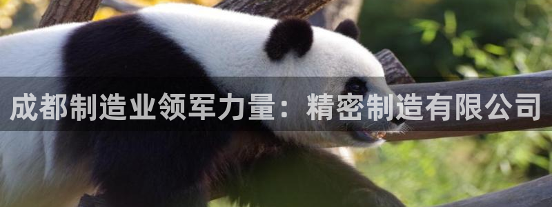彩神v8首页：成都制造业领军力量：精密制造有限公司
