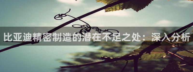 彩神vll官网在线登录：比亚迪精密制造的潜在不足之处：深入分析