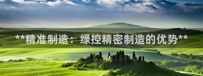 天天赢彩神：**精准制造：绿控精密制造的优势**