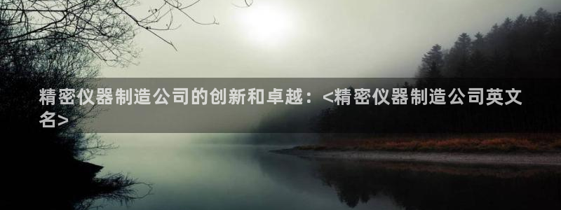 彩神大发三期计划网站：精密仪器制造公司的创新和卓越：<精密仪器制造公司英文
名>