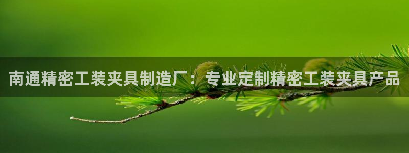 彩神v平台：南通精密工装夹具制造厂：专业定制精密工装夹具产品