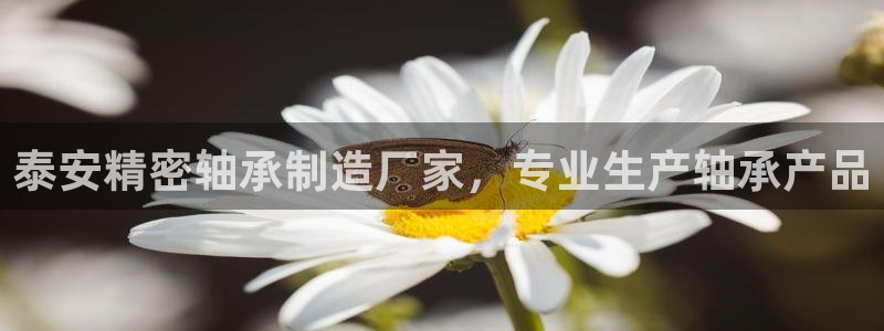 彩神通官网下载：泰安精密轴承制造厂家，专业生产轴承产品