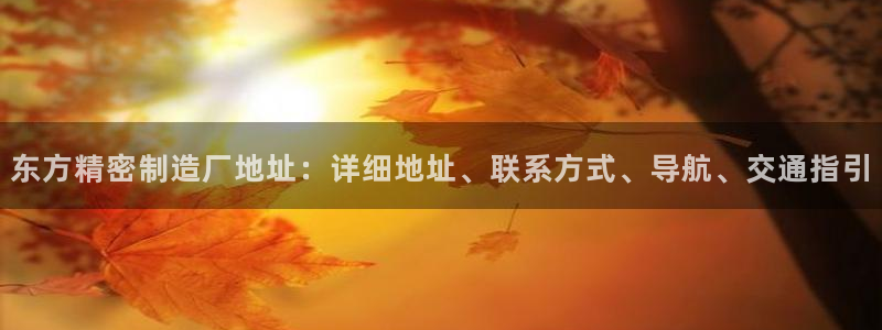 彩神赢的钱是哪里来的：东方精密制造厂地址：详细地址、联系方式、导航、交通指引