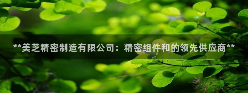 彩神平台能提现吗：**美芝精密制造有限公司：精密组件和的领先供应商**