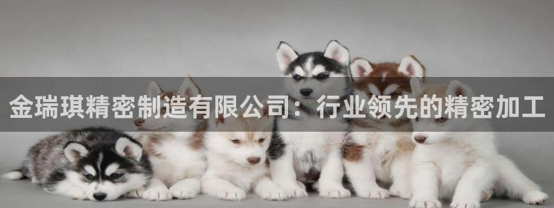 彩神是正规平台吗：金瑞琪精密制造有限公司：行业领先的精密加工
